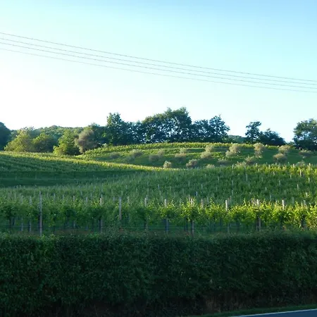 Sant'andrea Con Cantina Martignago Vignaioli Asolo Prosecco Docg Wines Мазер